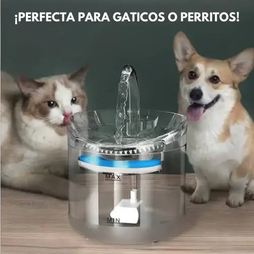 AquaPaws | Fuente para gato bebedero para mascotas