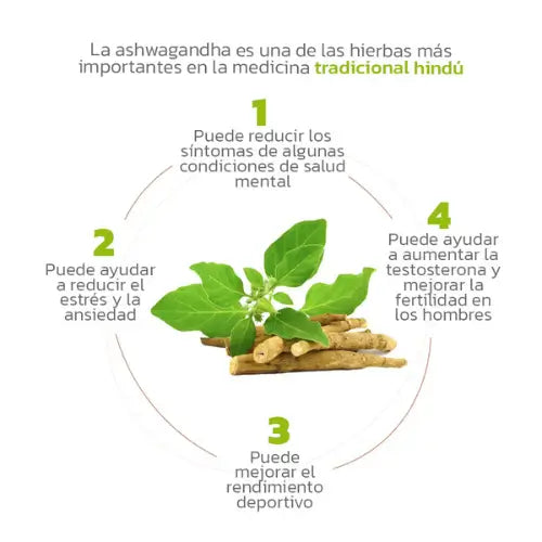 Ashwagandha | Adaptógeno antiestres, reduce el cortisol, previene el insomnio