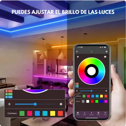 ProLED | Cinta LED multicolor de 5 metros