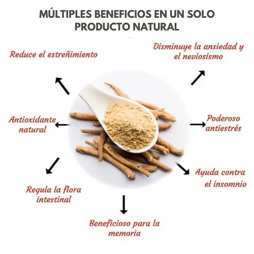 Ashwagandha | Adaptógeno antiestres, reduce el cortisol, previene el insomnio
