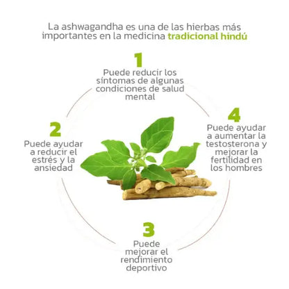 Ashwagandha | Adaptógeno antiestres, reduce el cortisol, previene el insomnio