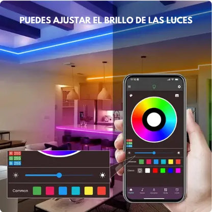 ProLED | Cinta LED multicolor de 5 metros